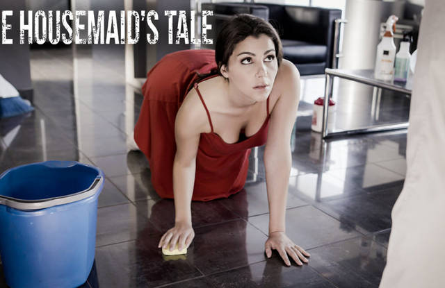 Мистер с горничной делает классический секс